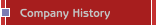 Company History